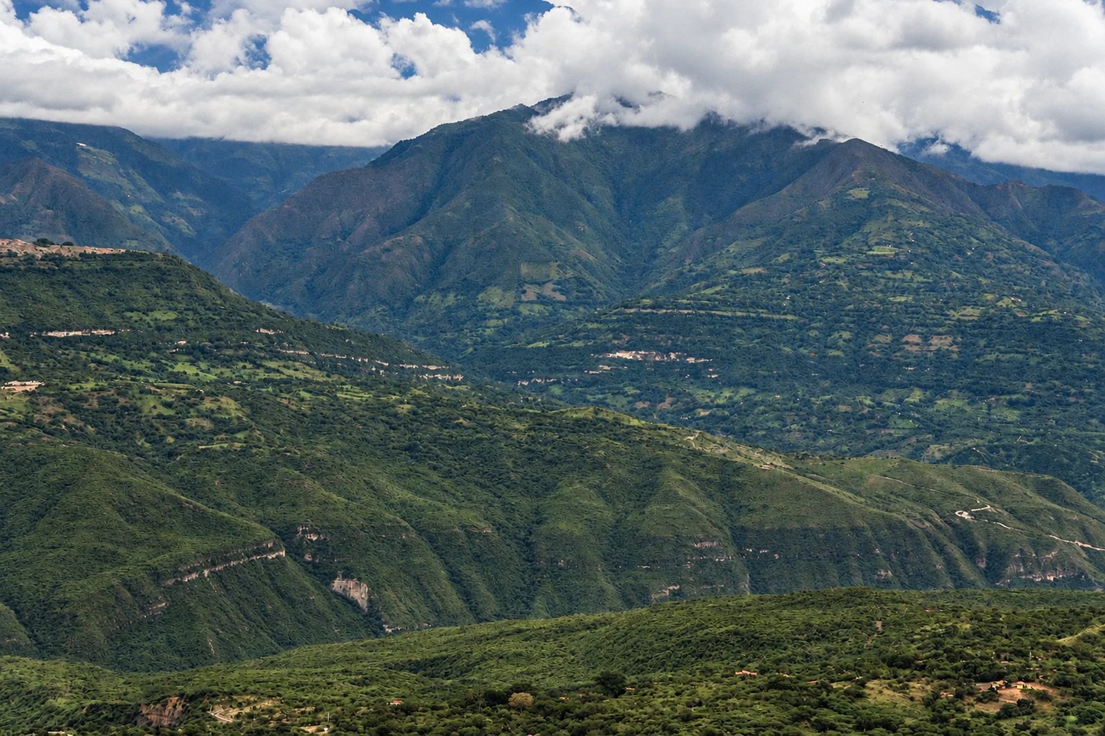 Montañas andinas de bosque seco con las cumbres entre nubes, en Santander