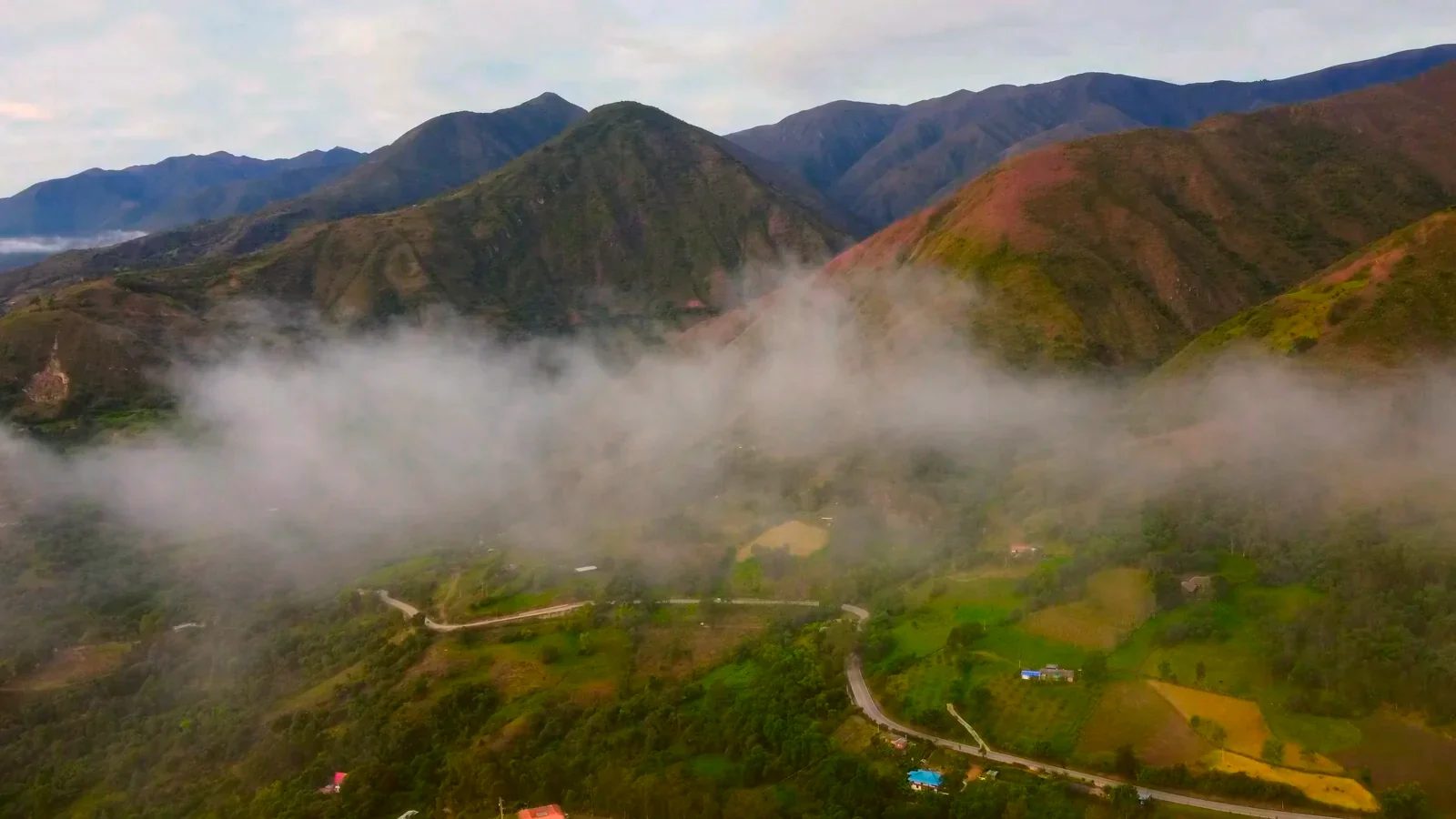 Montañas andinas cubiertas de bosque con una franja de neblina sobre un valle de potreros y una carretera