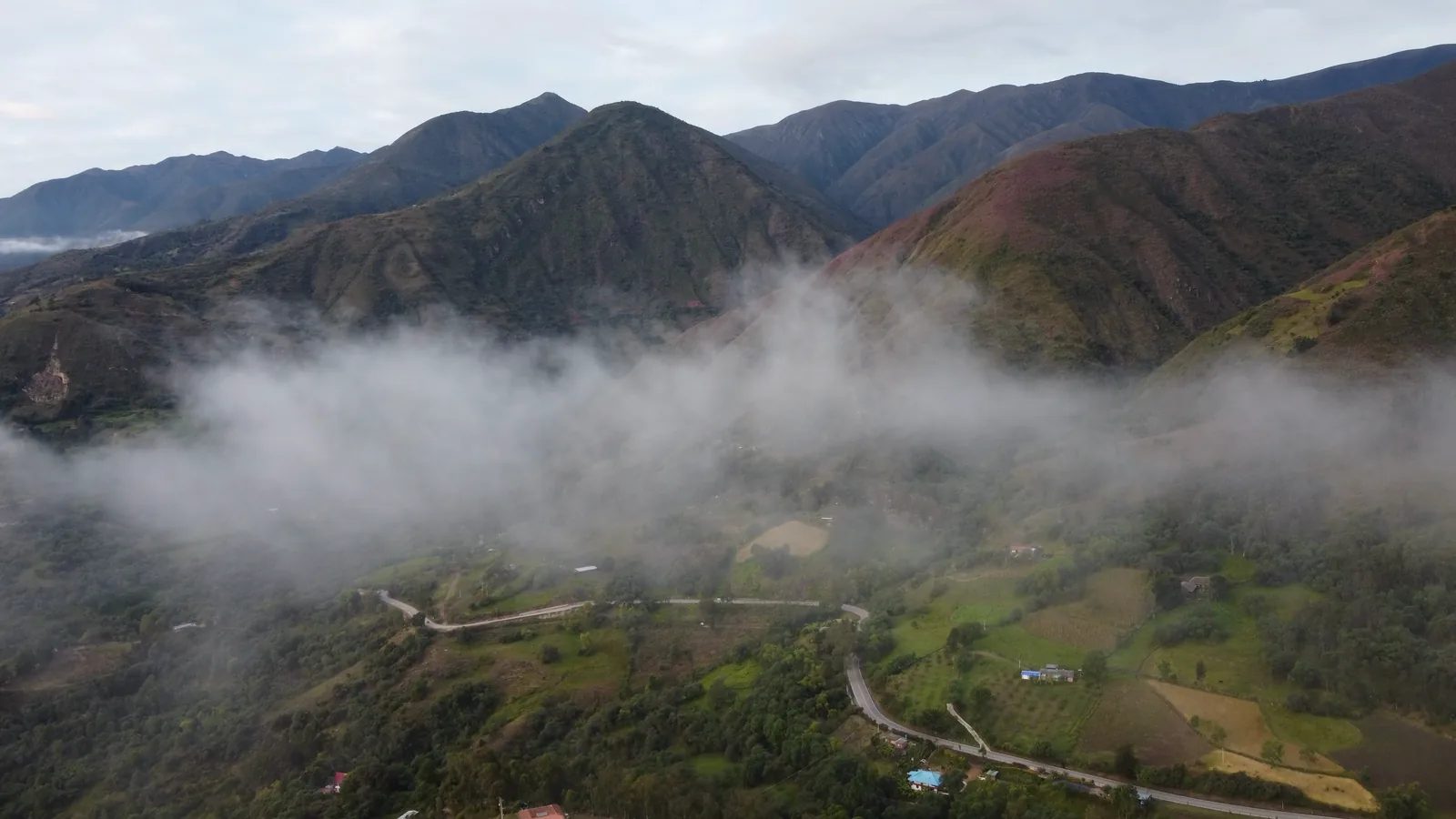 Montañas andinas cubiertas de bosque con una franja de neblina sobre un valle de potreros y una carretera